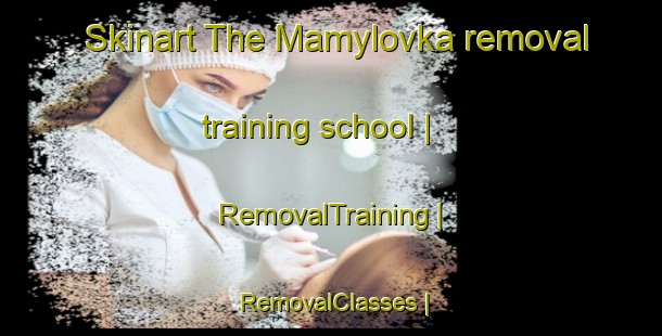Skinart The Mamylovka removal training school | RemovalTraining | RemovalClasses | SkinartTraining-Russian Federation